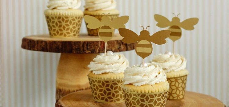 Cupcakes- Ape. Creativi ed originali