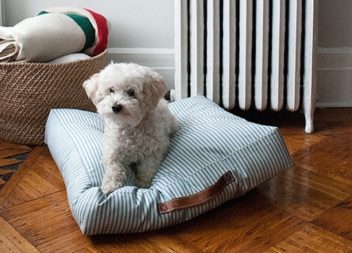 Cuccia per cani fatta a mano: istruzione passo per passo