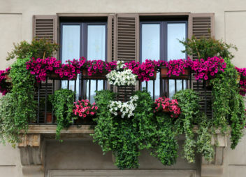 Giardino sul balcone e loggia: 25 idee