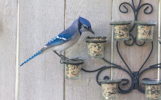 Mangiatoie per uccelli: 20 idee