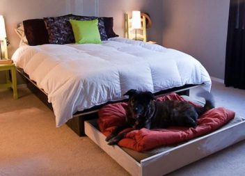 16 idee su cucce per cani