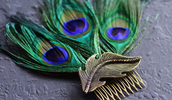 Idee su decorazione di accessori e piume: 20 foto-idee