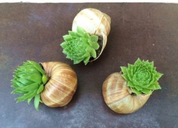 Vasi per fiori originali: 20 idee