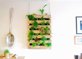 20 idee sul giardino verticale