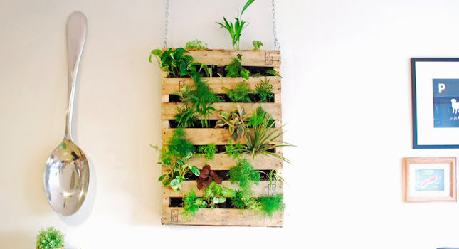 20 idee sul giardino verticale