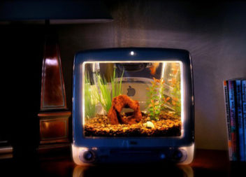 11 idee su trasformazione della TV in cose nuove