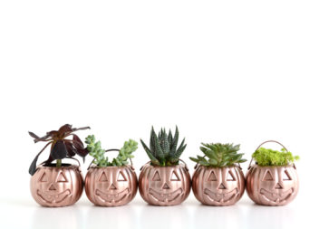 Ispirazione con il colore: rose gold