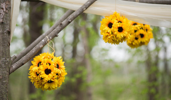 16 idee su decorazione con girasoli