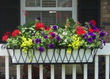 21 idee su fiori sulle finestre