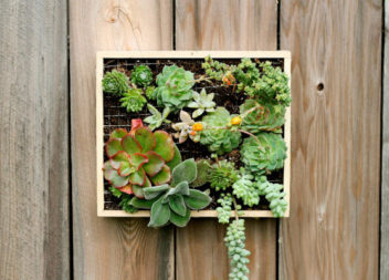 17 idee su giardini verticali