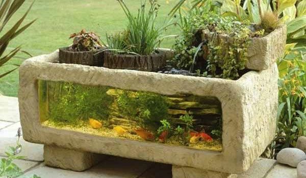 14 foto-idee su acquario nel giardino