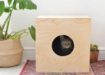 Cuccia semplice per il vostro gatto fatta con le vostre mani:master-class
