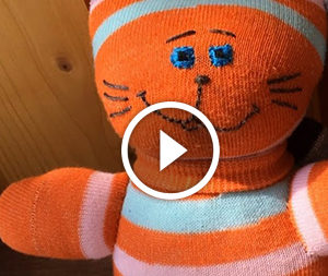 Gatto di un calzino