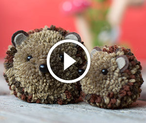 Riccio di pom-pon