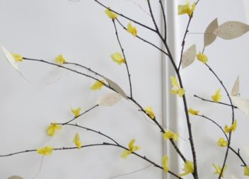 Una pò di primavera nella stanza: un ramo fiorito