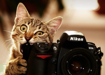 20 pose buone per la sessione fotografica femminile