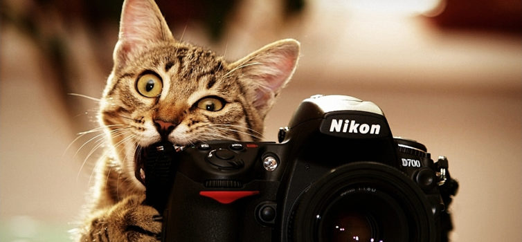 20 pose buone per la sessione fotografica femminile
